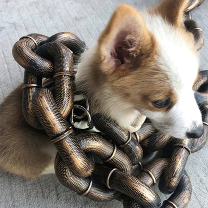 Chained Beast
